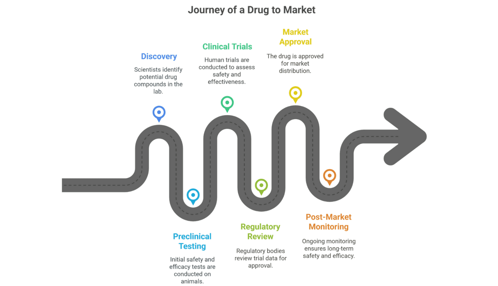 The lifecycle of a drug: from concept to consumer