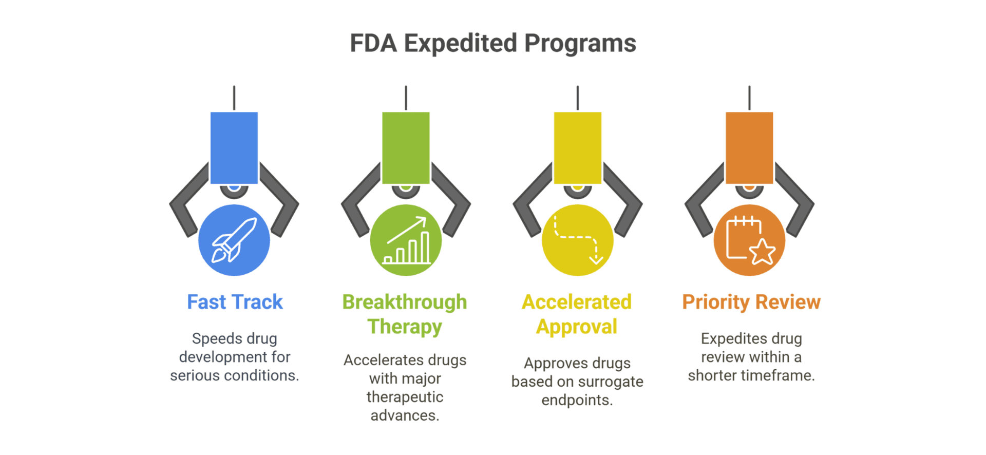 Figure accompanying “B. Expedited Review Options”